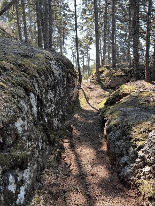 22+ Trails Do Some Great Hiking On Vinalhaven, Maine