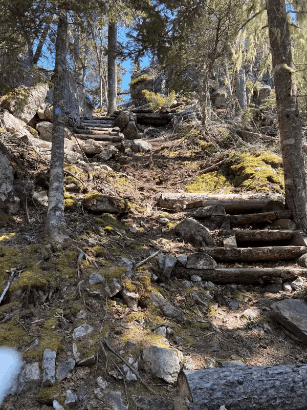 22+ Trails Do Some Great Hiking On Vinalhaven, Maine