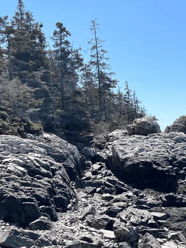 22+ Trails Do Some Great Hiking On Vinalhaven, Maine