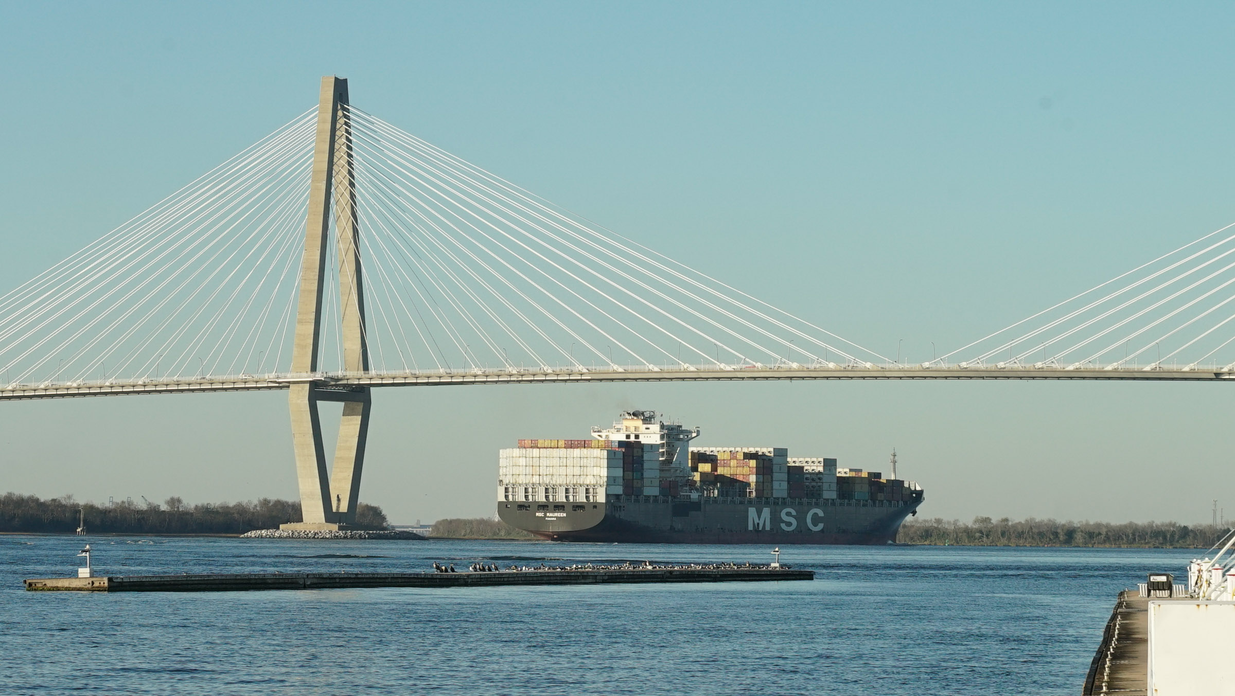 Rhode Island to Fort Lauderdale the Delivery WANDERBIRD