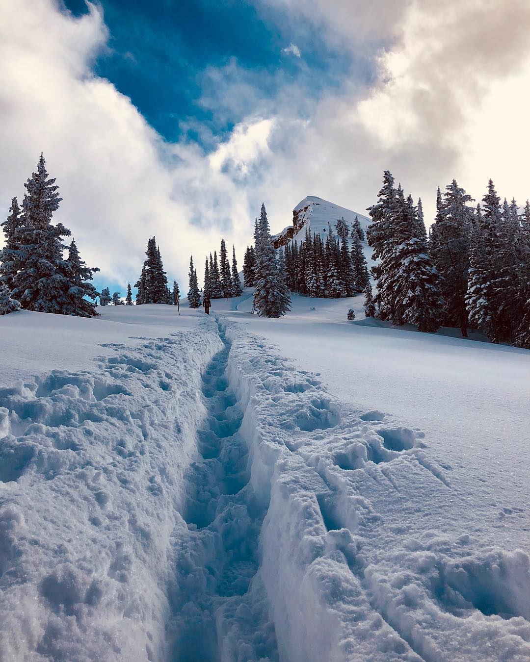Grand Targhee Resort, Alta, WY