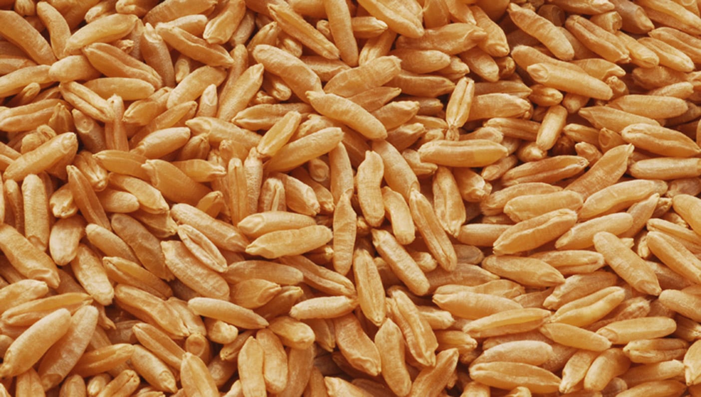 Discover Kamut Turn the "Prophet's Wheat" Into a Smoothie Bowl