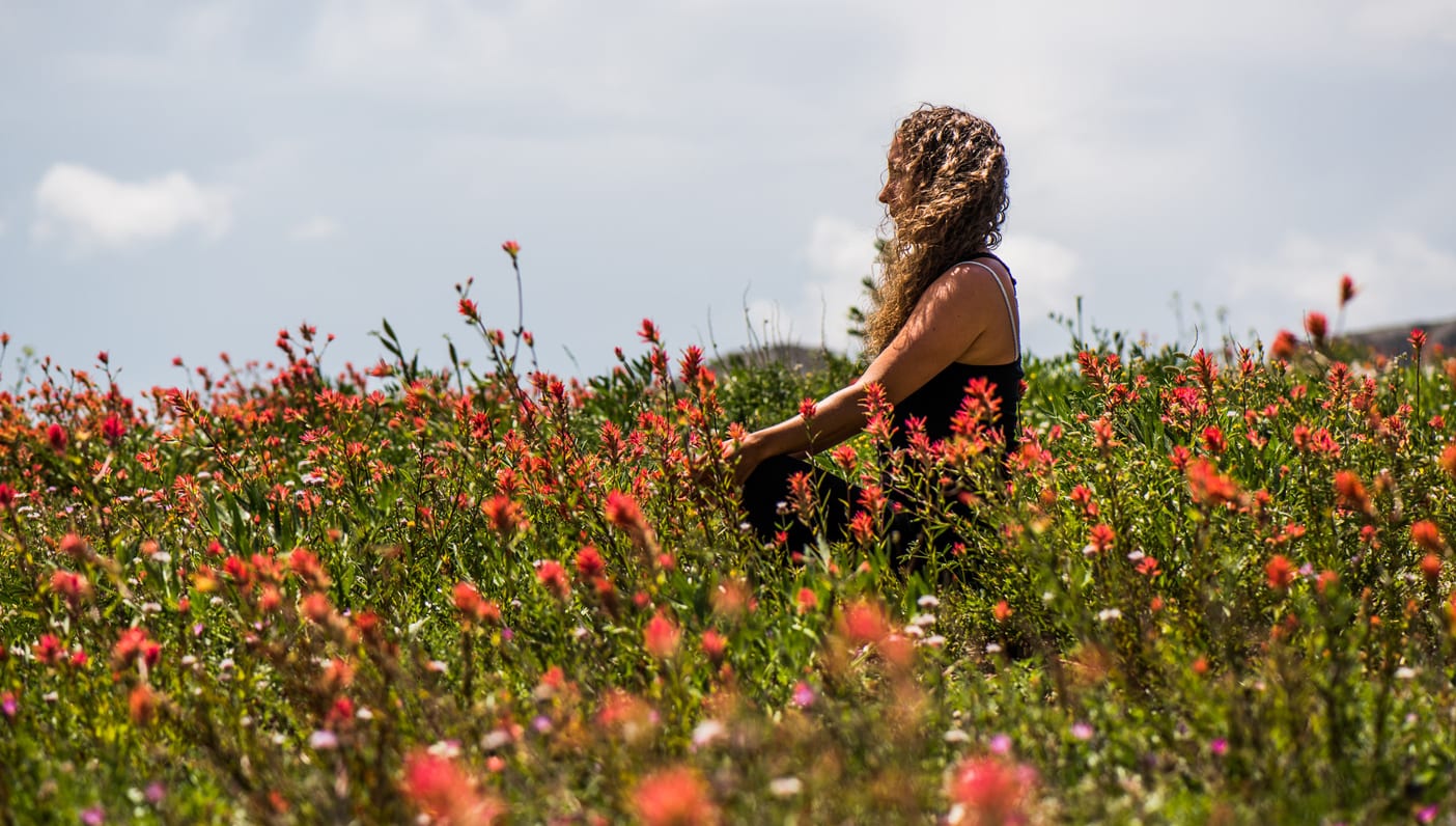 Flower Essences to Heal Your Heart