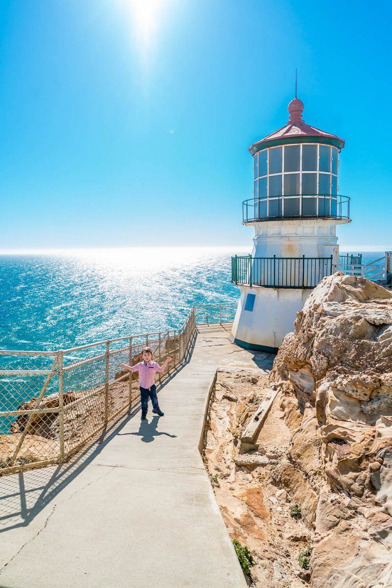 Things to do in Point Reyes, California Wanderlust Crew