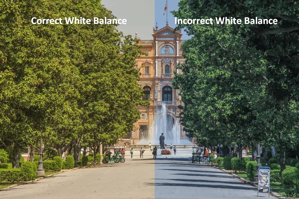 Important Tips for Avoiding Photography Issues When Traveling