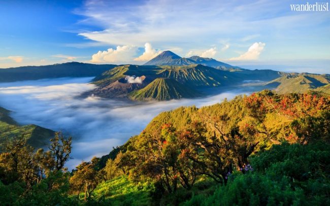 Indonesia điều chỉnh quy định đối với hành khách di chuyển trong nội địa 7 Java min
