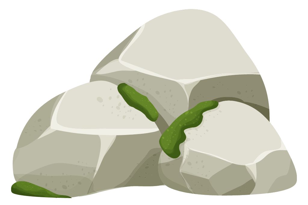 How to Clean a River Rock & Make it Shiny