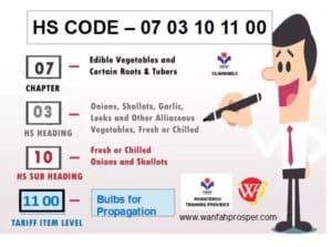 Ecustoms Hs Code