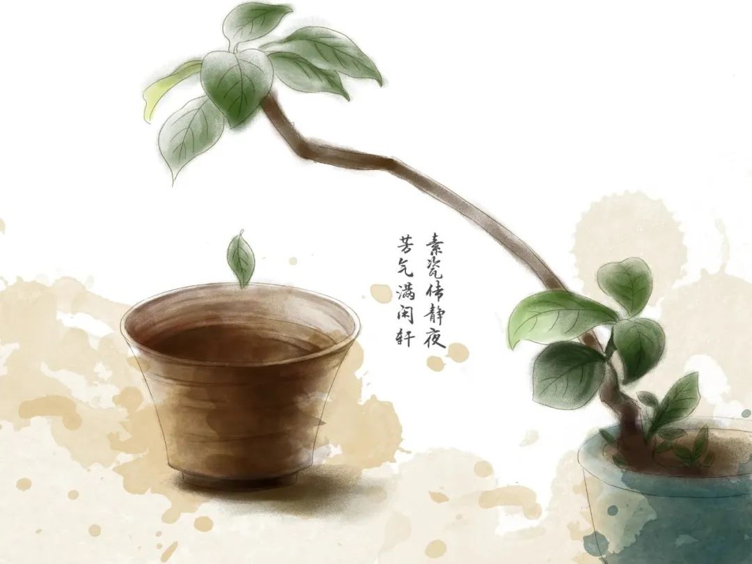 一葉一世界，唐宋黃金葉，這片東方樹葉的海絲之路