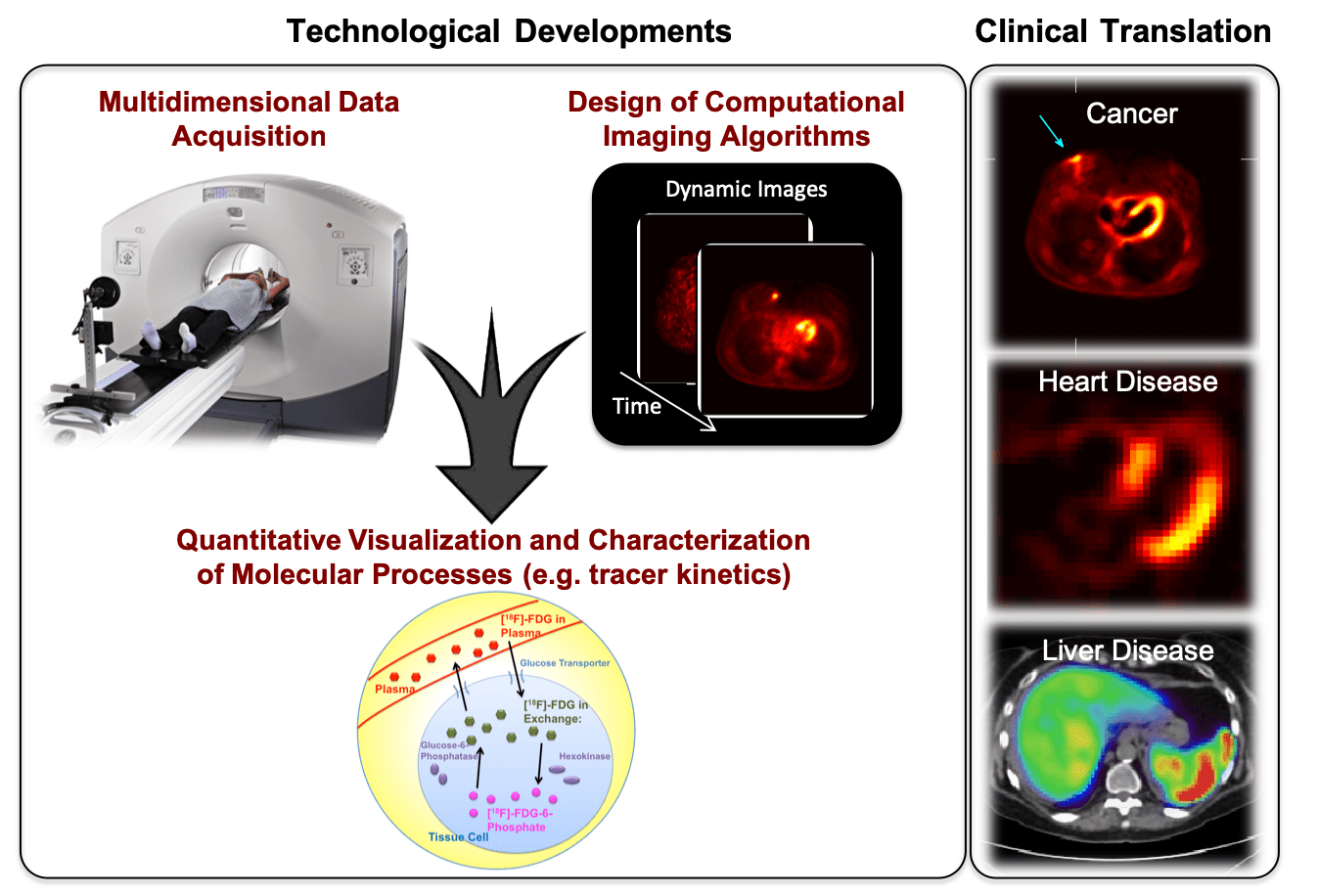 Wang Lab PET Parametric Imaging Department of Radiology, UC Davis