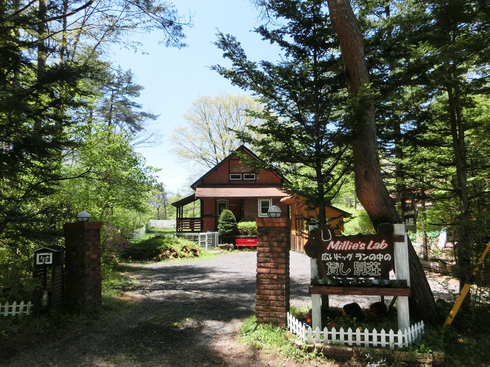 犬と泊まれる貸別荘＆オートキャンプ場 ミリーズ・ラブ 群馬の犬と泊まれる施設 わんこの笑顔