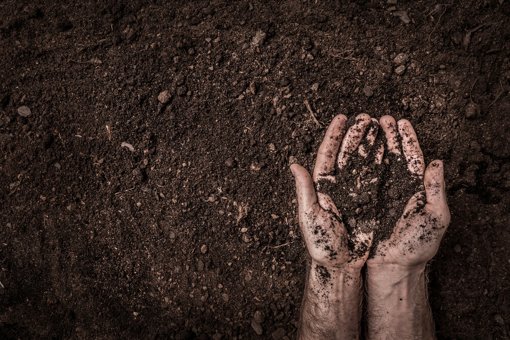 Contaminated Soil Pollution Remediation Soil Waste Management