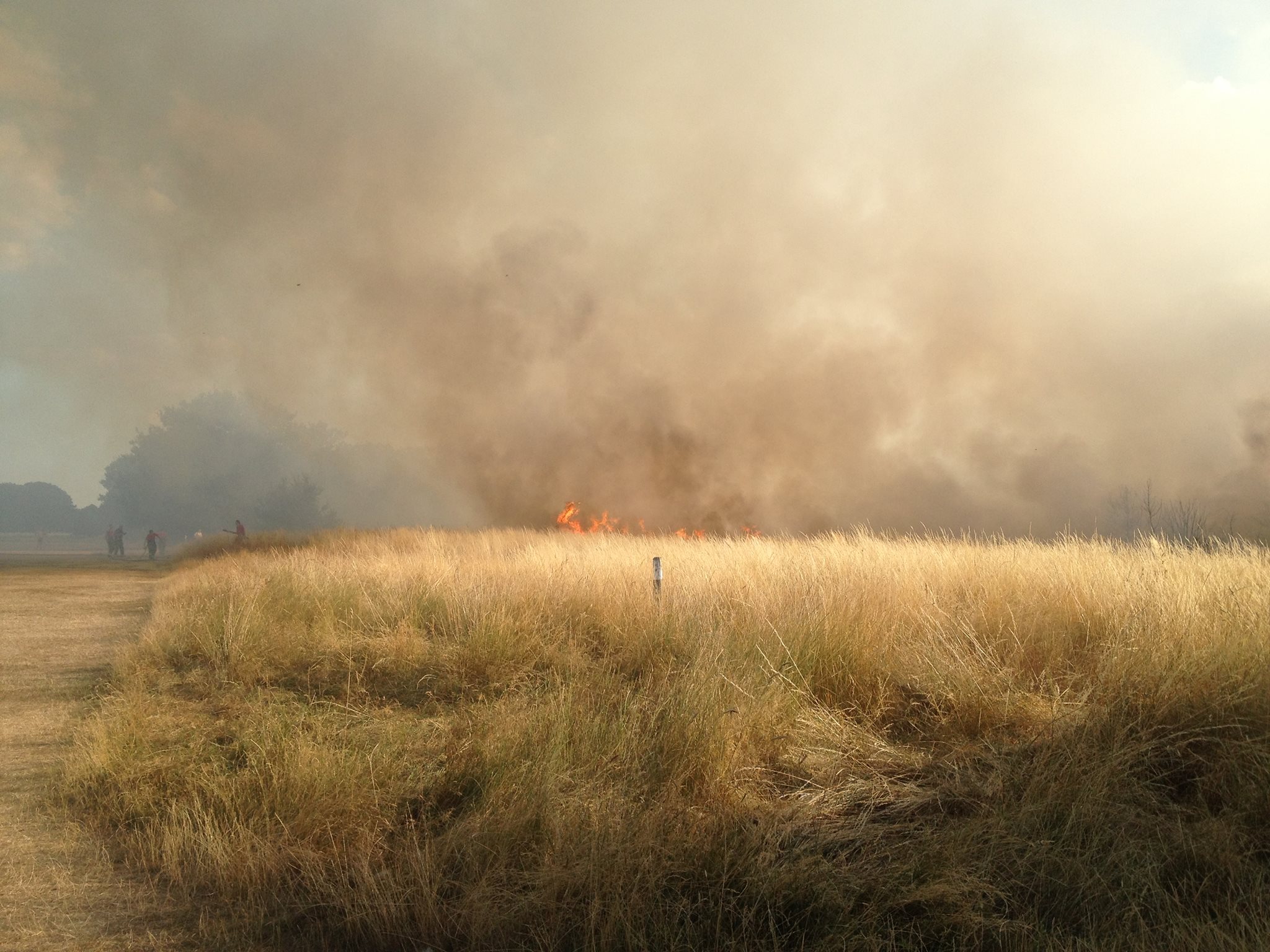More Wanstead Flats fire pics Wansteadium