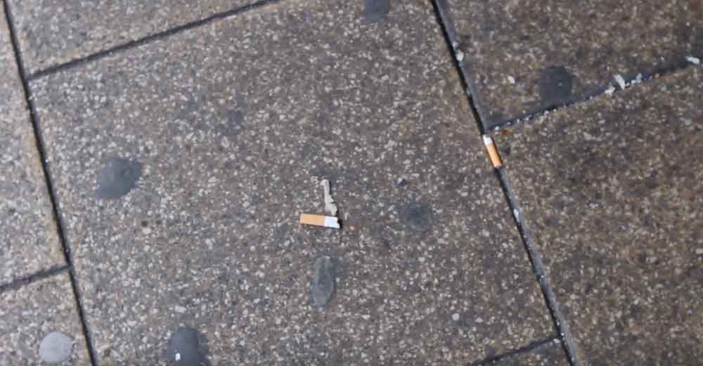 Littering penalties Wansteadium