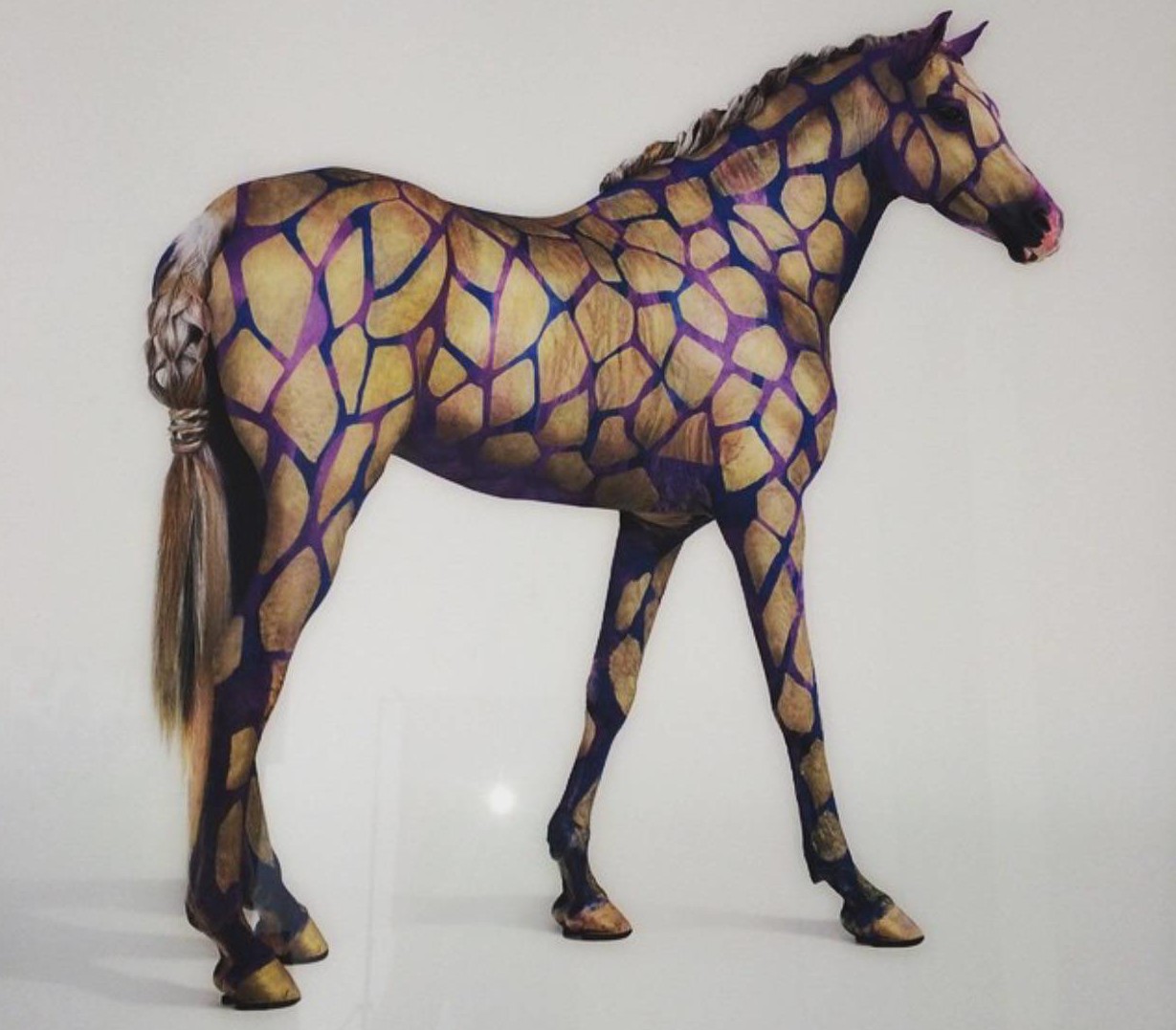 Johnny Dar’s Horse BodyPainting Project Want it! Have it!