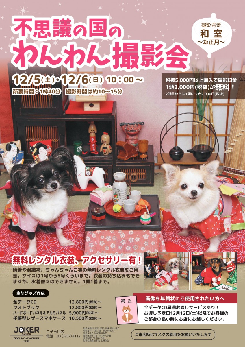 ペットショップジョーカー二子玉川店撮影会 不思議の国のわんわん写真館 Studio J