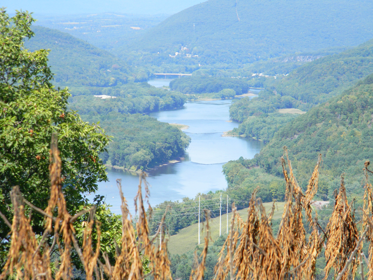 Community Wapwallopen