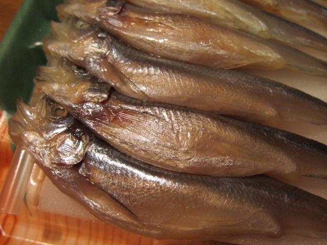 カラフトししゃもしか食べたことのなかった私が本物ししゃもを食べた結果