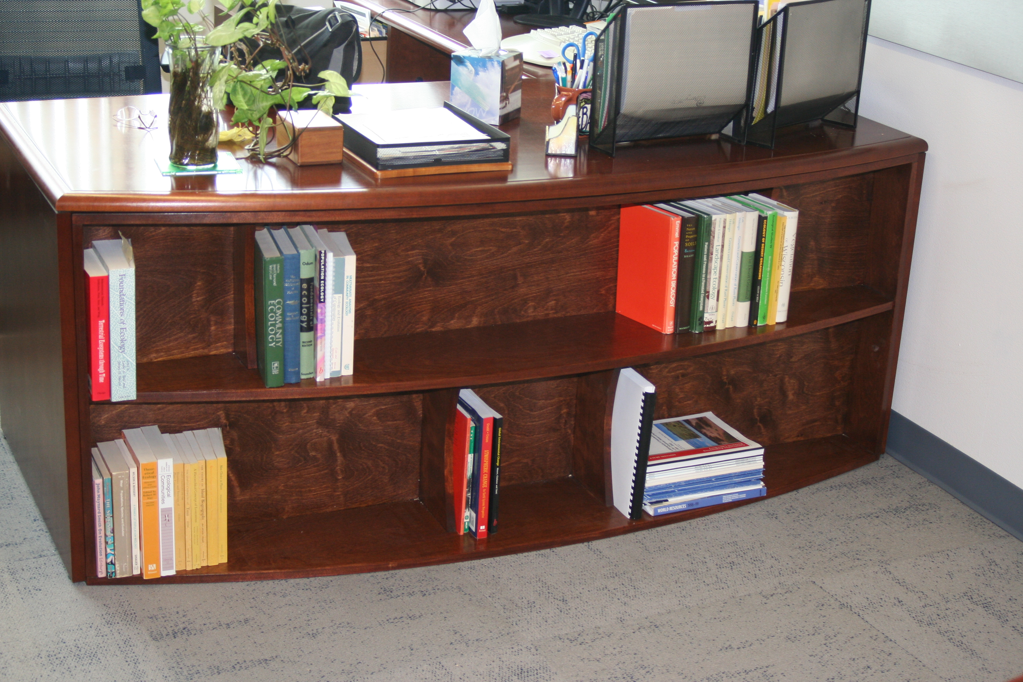 Curved Bookcase