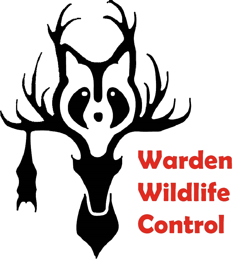 About Us Warden Wildlife Control