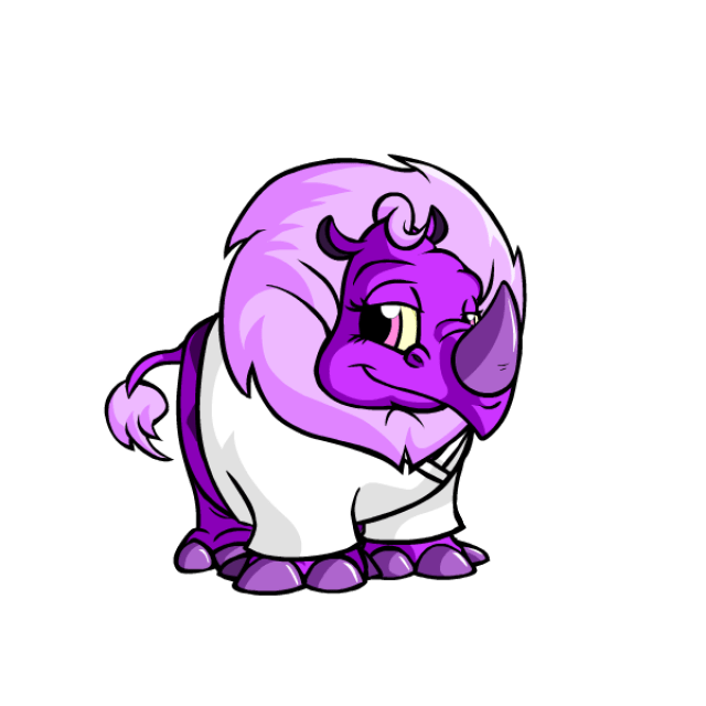 White Top Chop Robe Neopets Items