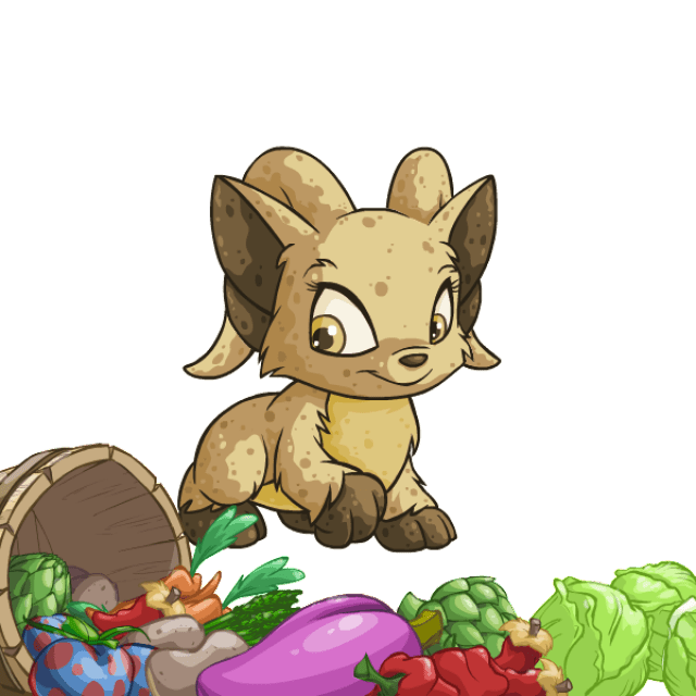 Basket of Vegetables Neopets Items