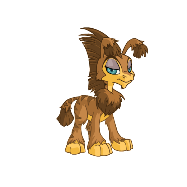 Sleepy Eye Contacts Neopets Items