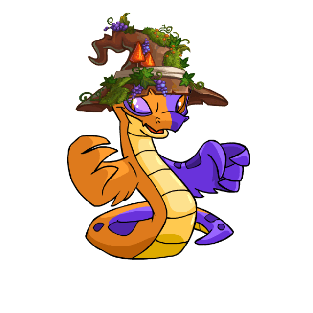 Enchanted Wizard Mushroom Hat Neopets Items