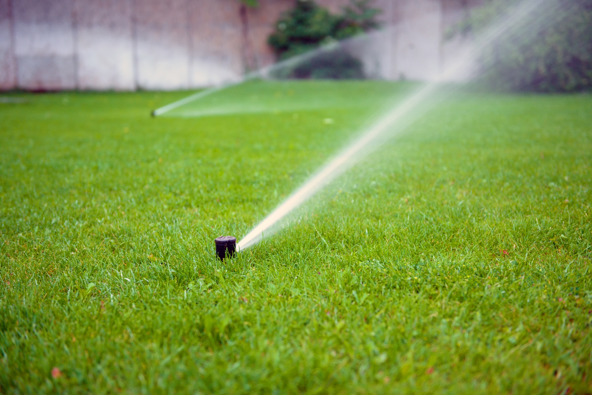 Irrigation System Florence SC Ward's Lawn Service & Landscaping LLC