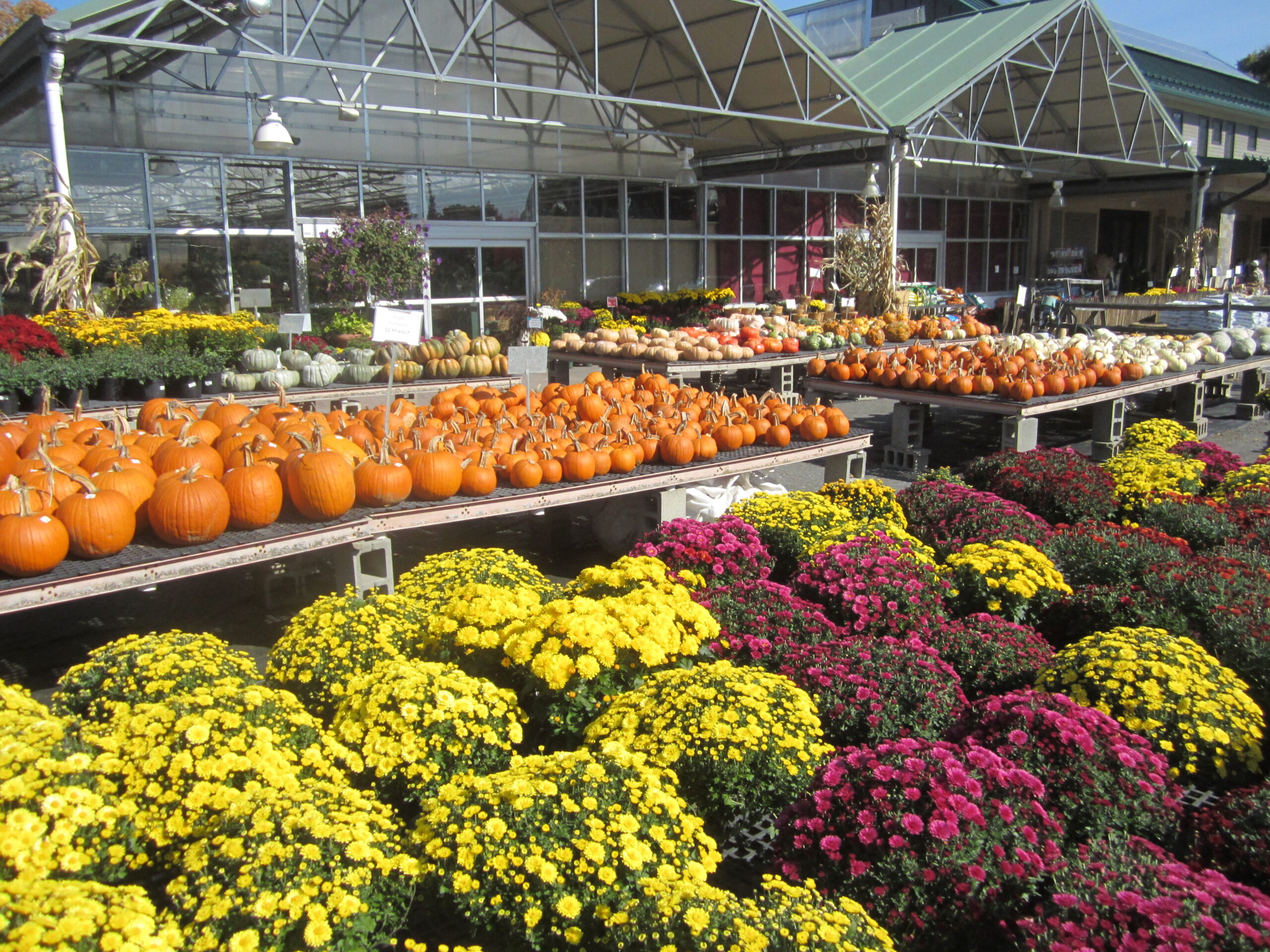 Nursery & Garden Center Ward's Nursery & Garden Center