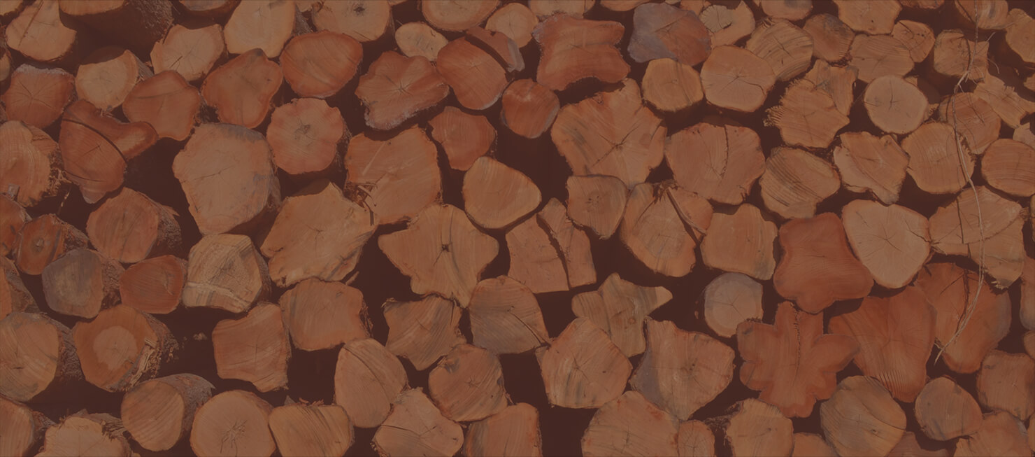 Homepage Ward Timber