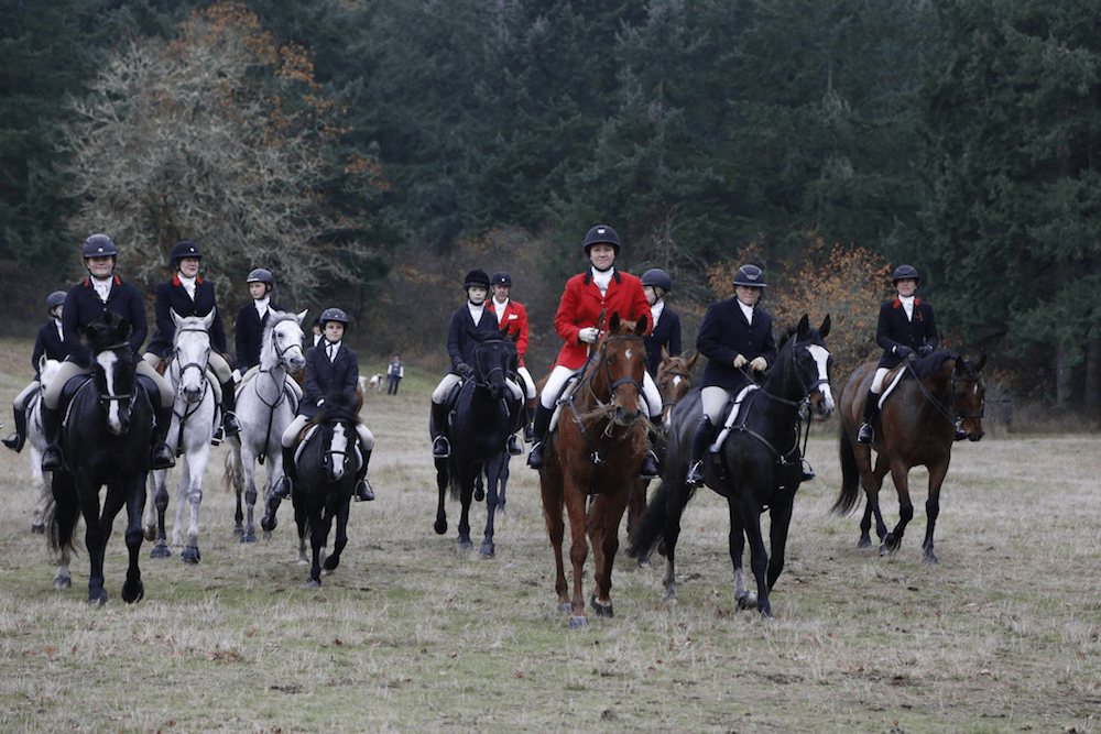 HUNTING WITH HORSES AND HOUNDS Washington Regency Society