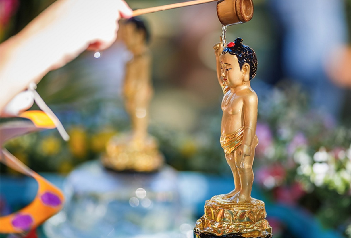 Buddha Birth Day Festival 2017