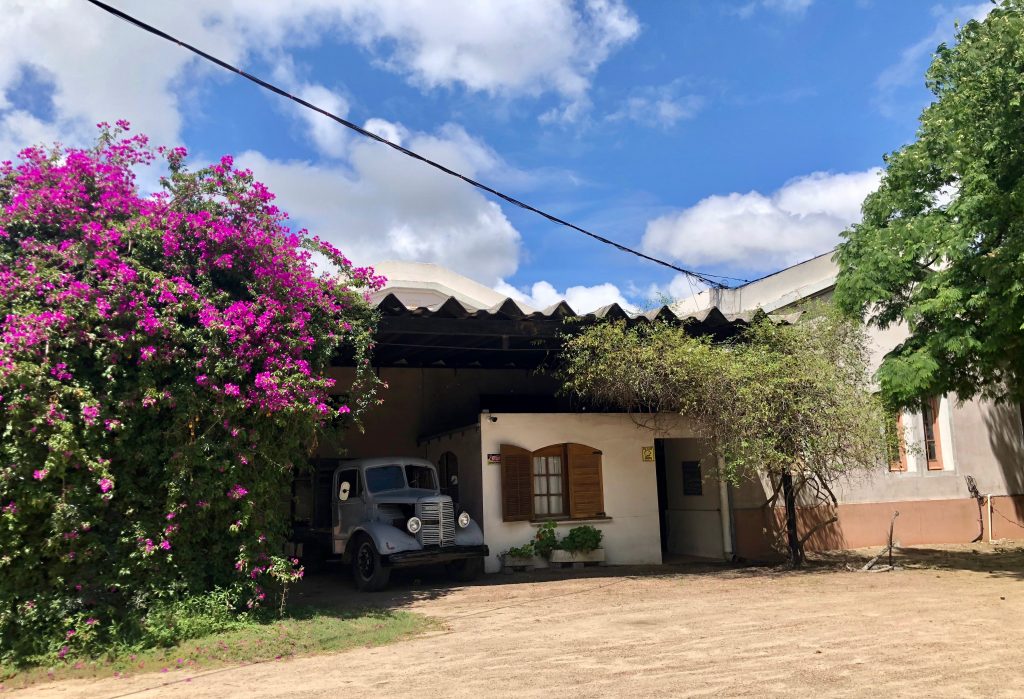 Touring The Carmelo/Western Uruguay Wine Region Tips, Tricks, and