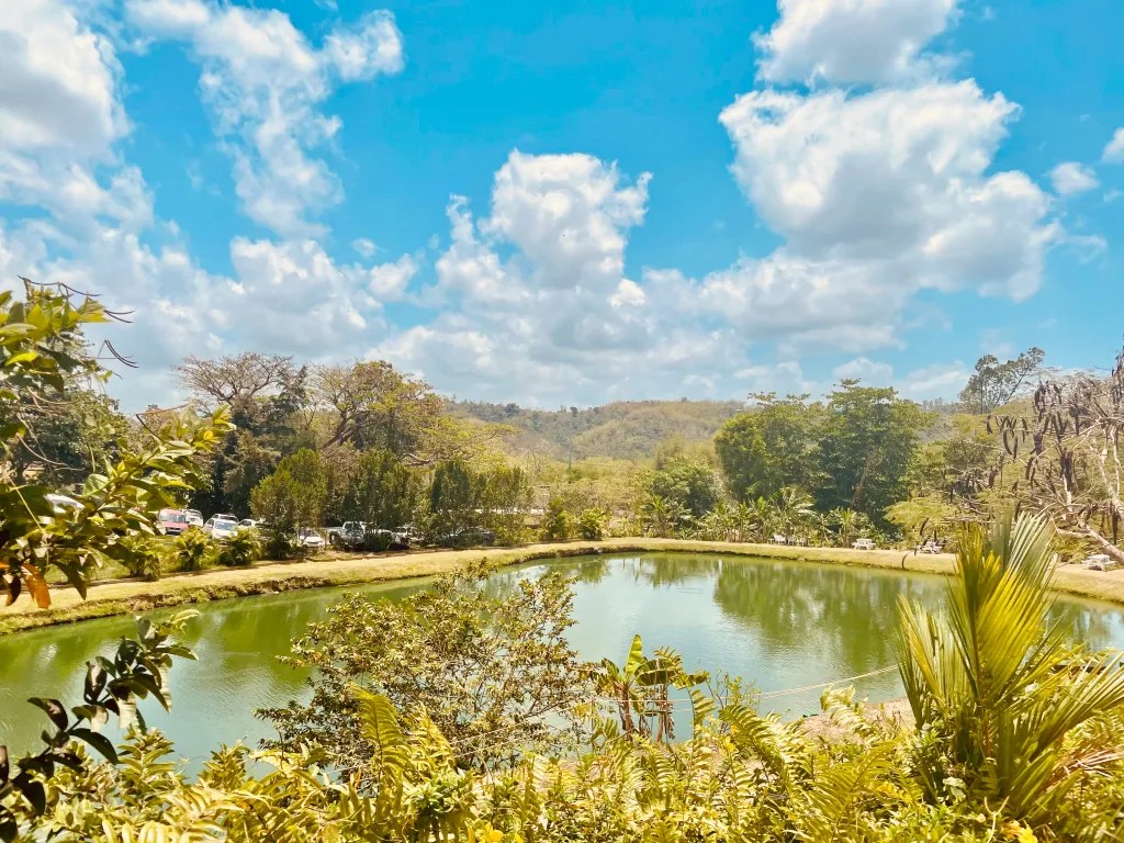 An Afternoon In Juncos, Puerto Rico At Bacoa Finca + Fogón wareontheglobe