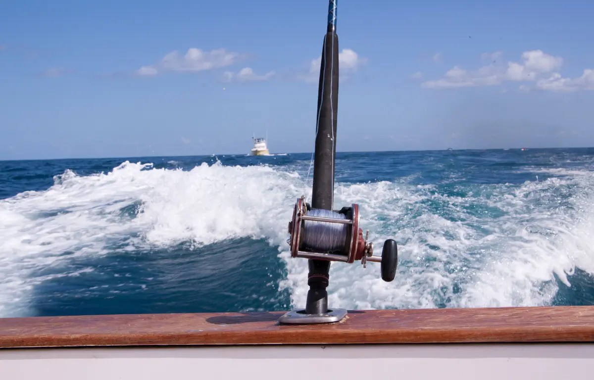 Types of Affordable Fishing Charters Key West, Wares the Fish