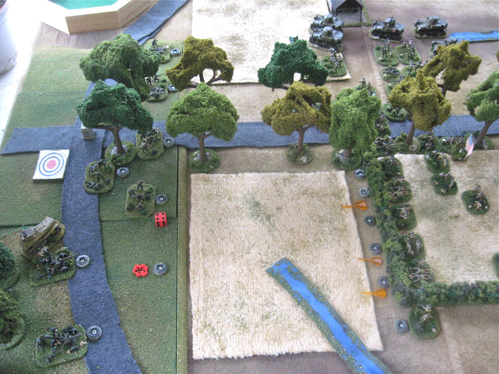 IMG_0507 Wargamerabbit