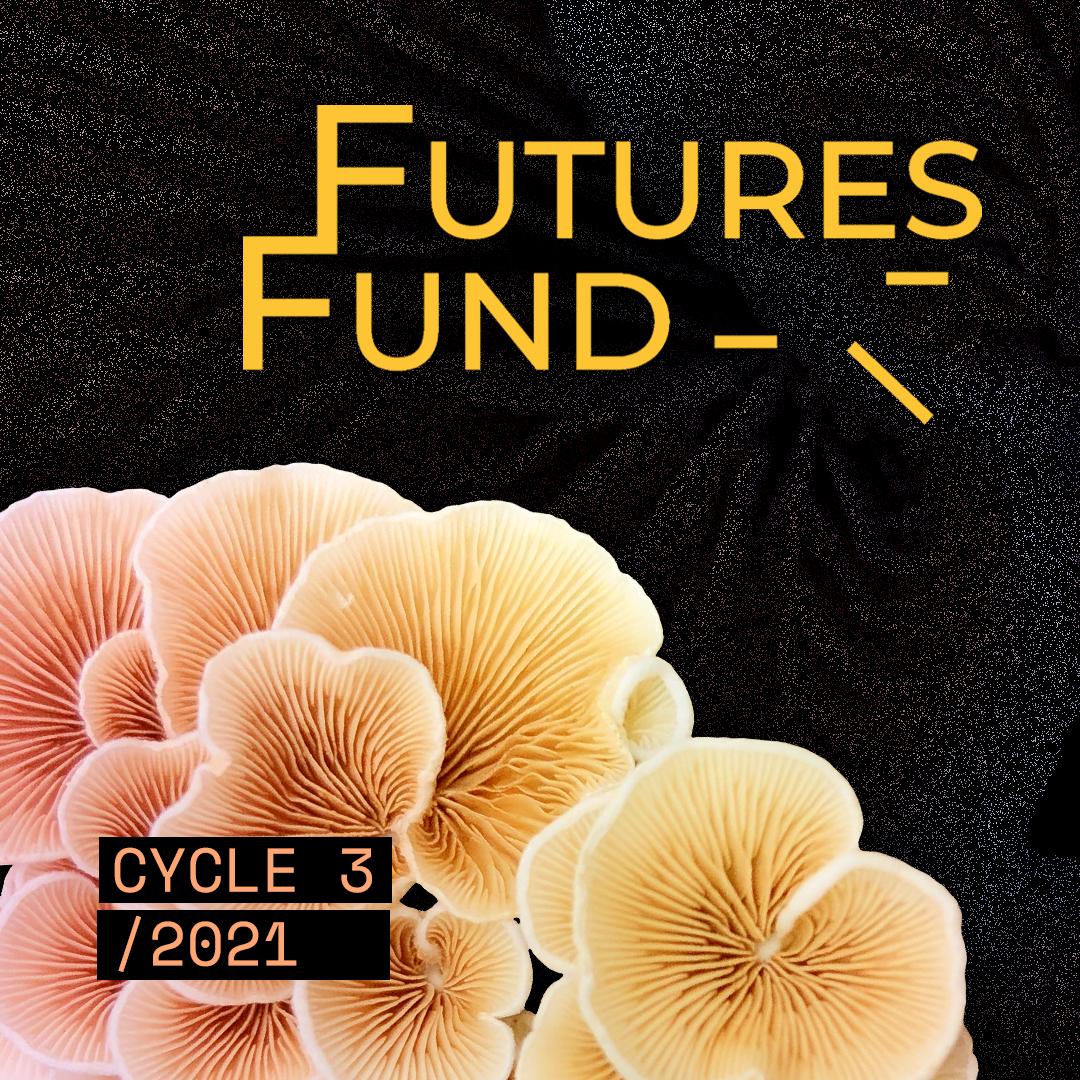 Futures Fund The Andy Warhol Foundation for the Visual Arts