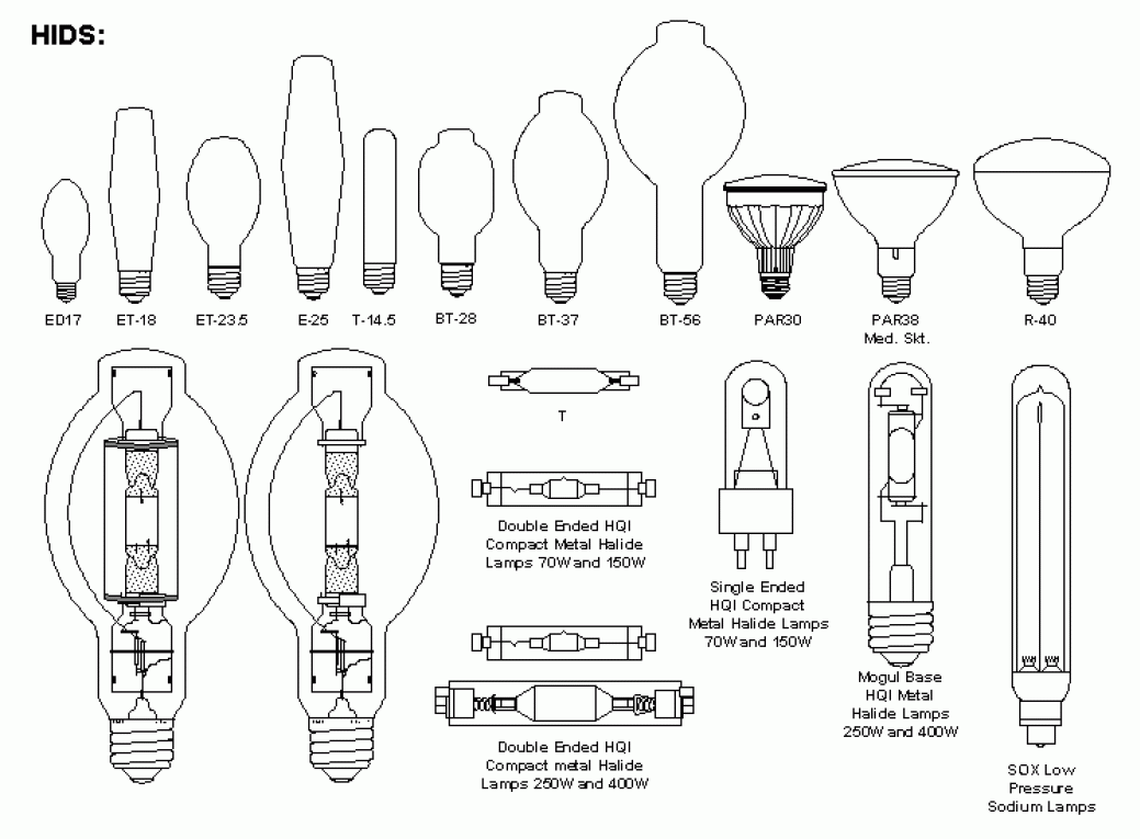 What Is A Type A Lamp at Jesse Berg blog