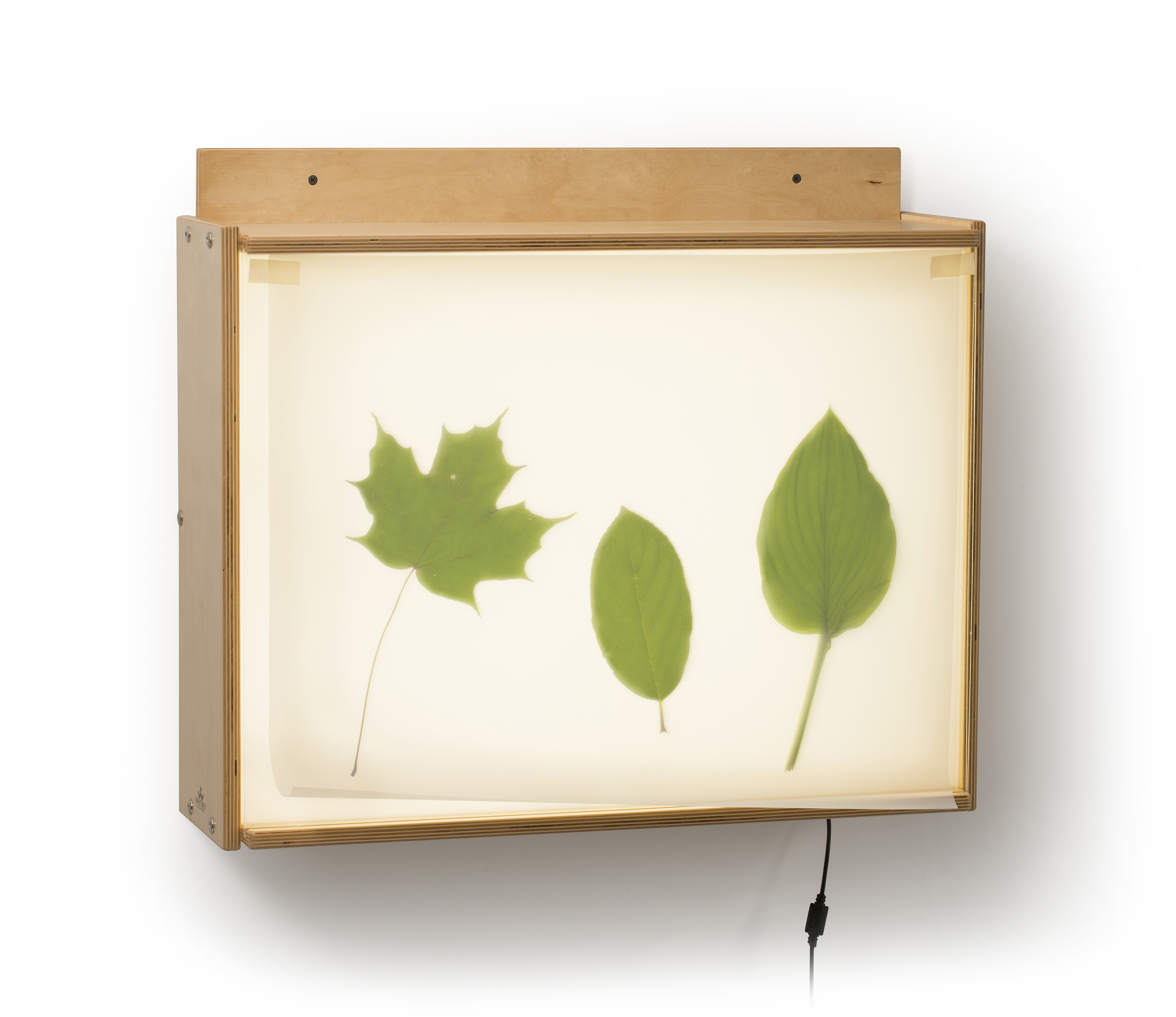 Wall mounted light box 10 methods to enhance the surroundings of your home Warisan Lighting