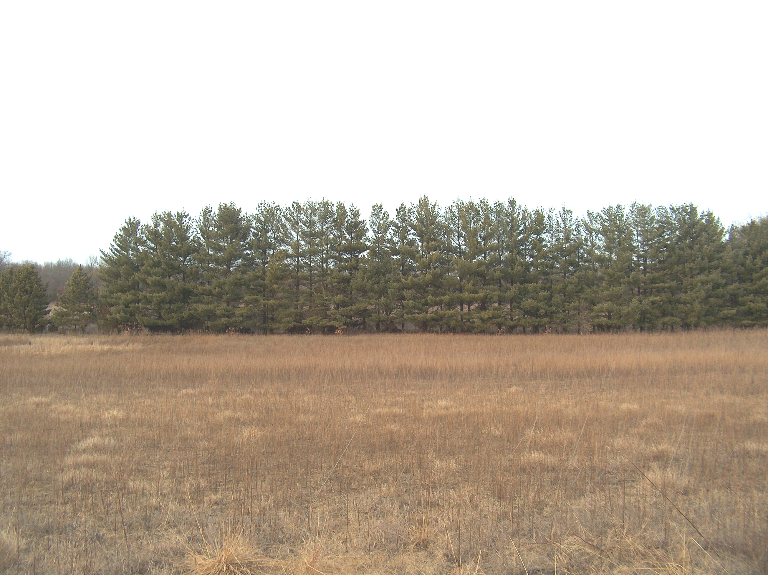 Illinois Climate Network Station Metadata Kilbourne Details