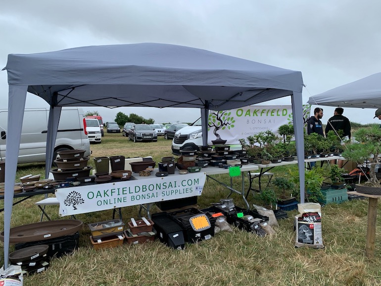 Staverton Group Bonsai boot sale Warminster Bonsai Club