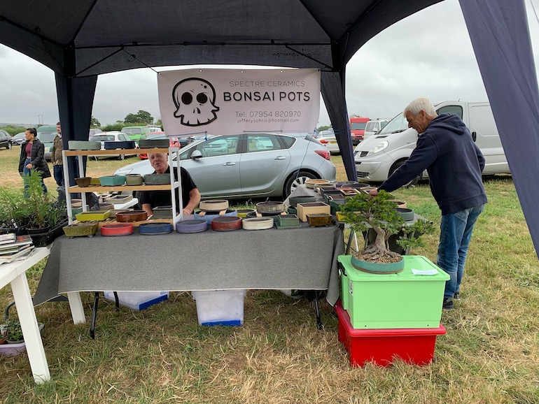 Staverton Group Bonsai boot sale Warminster Bonsai Club