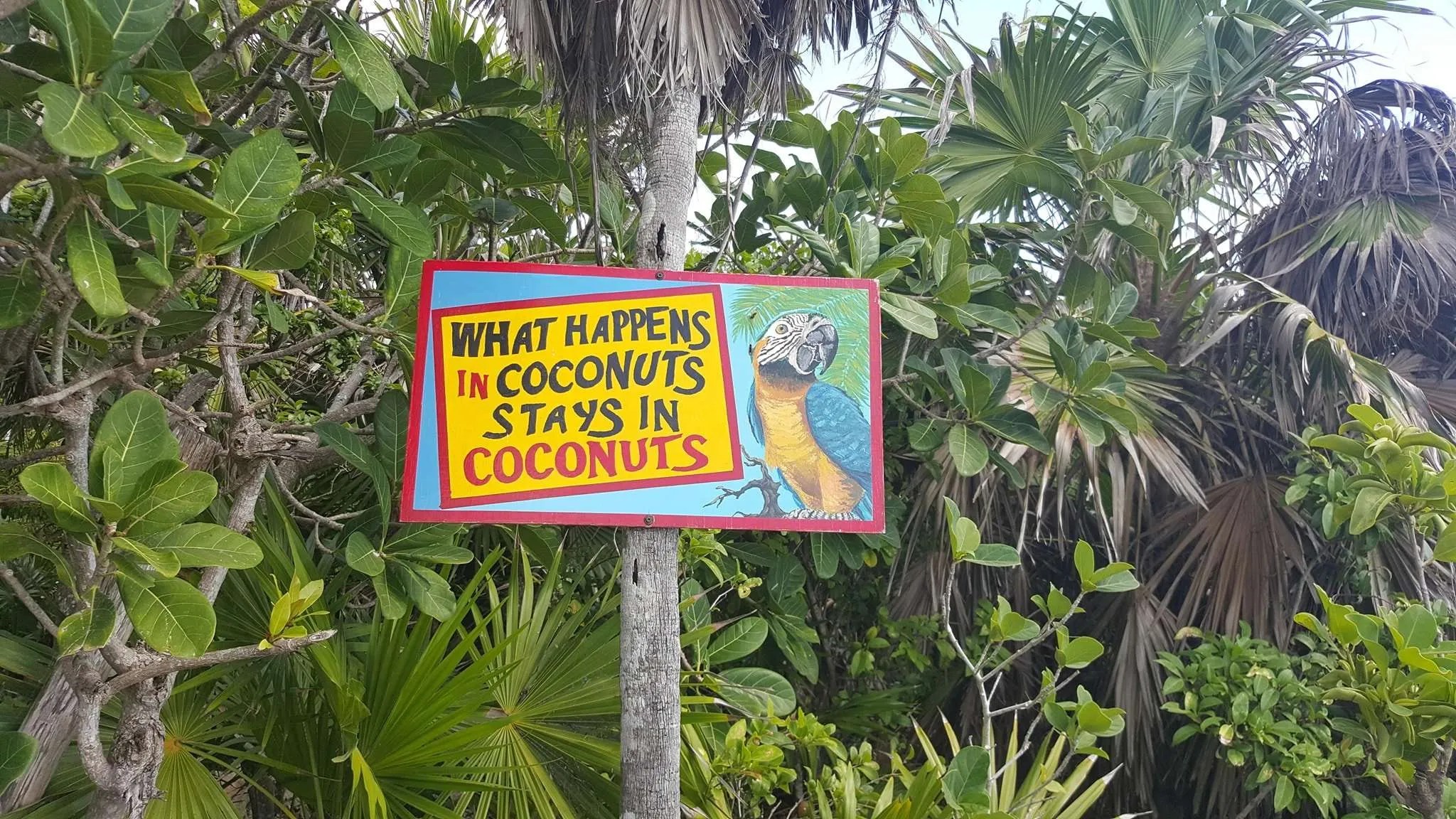 Iberostar Resort in Cozumel Mexico Warm Winter Getaways