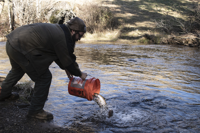Change of plans Novel data from Warnell researchers informs the future