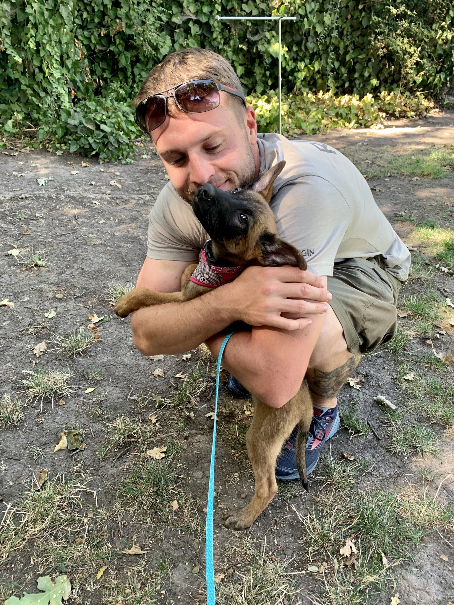 About Warner K9 Dog Trainers Dog Trainer Bay Area Northern California