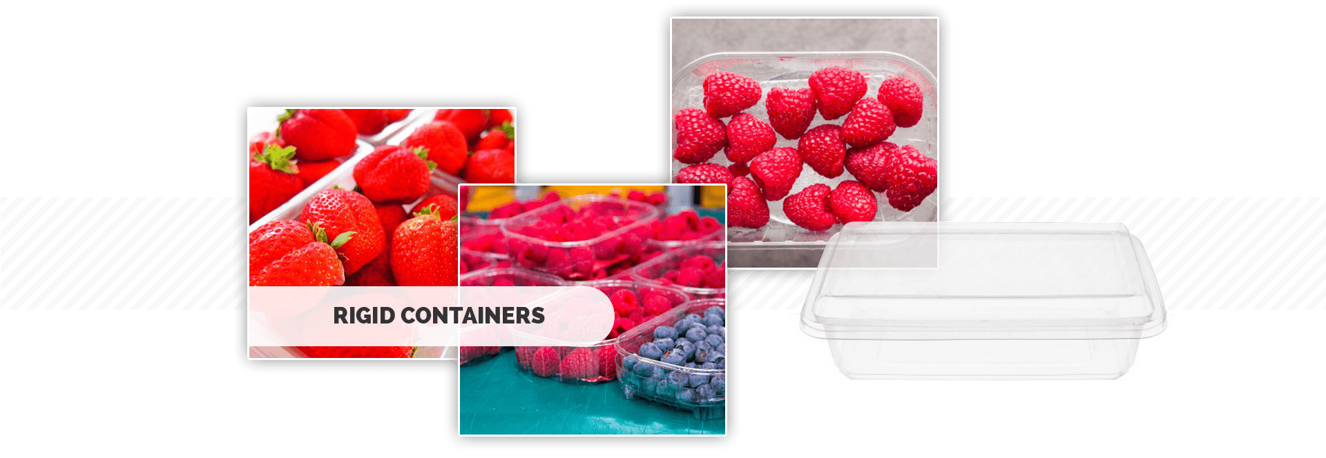 Rigid containers & and recyclable trays Warner Packaging