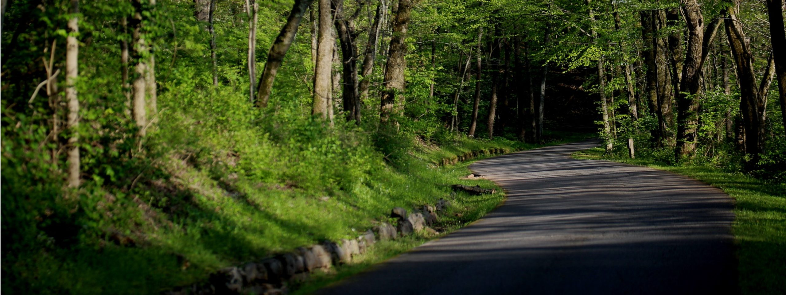 Tree Trails in Warner Parks Friends of Warner Parks