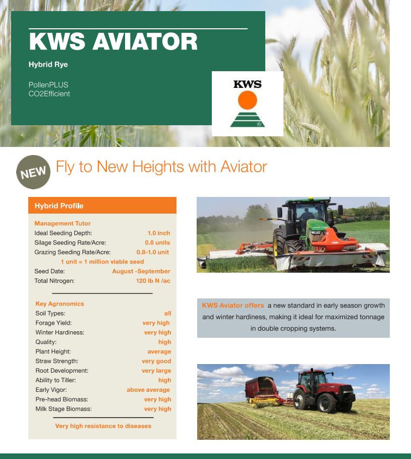 KWS Aviator Warner Seeds