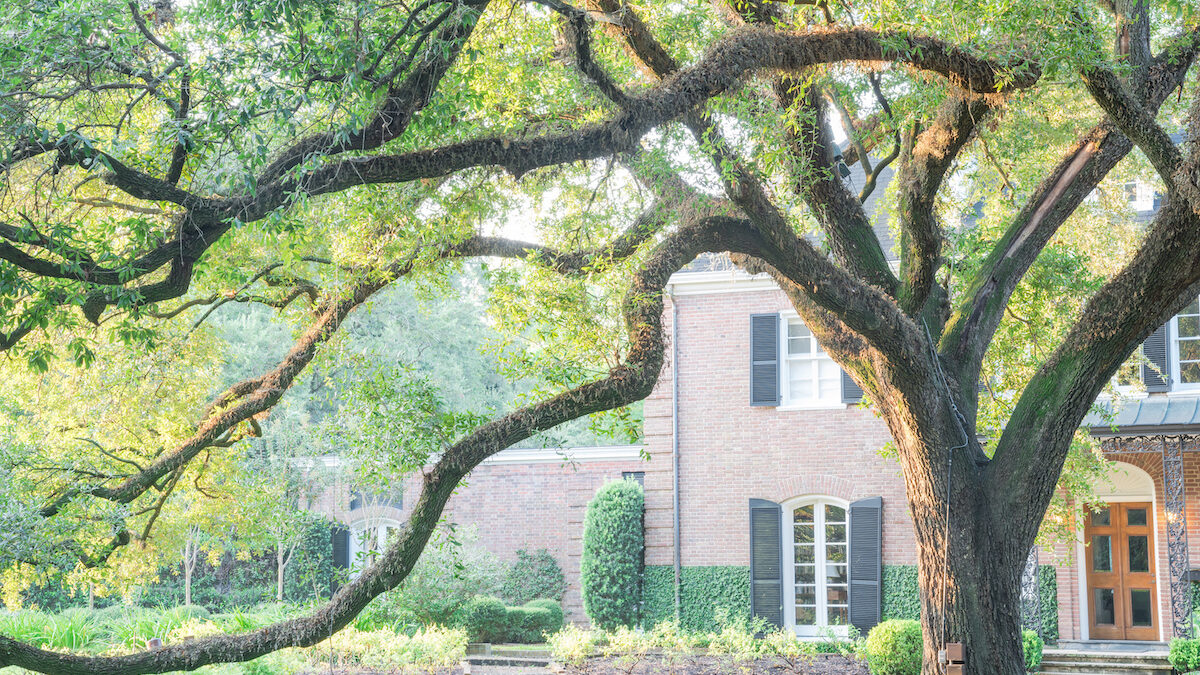 How Do Trees Affect Property Value? - Warner Tree Service